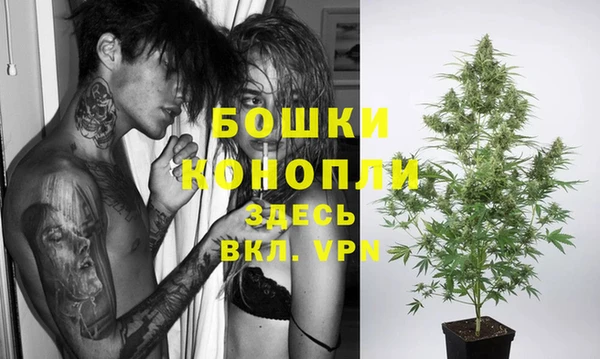 стаф Красноперекопск