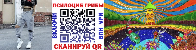 Псилоцибиновые грибы GOLDEN TEACHER  Оса 